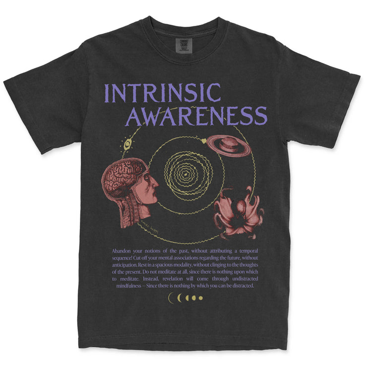 Intrinsic Awareness Tee