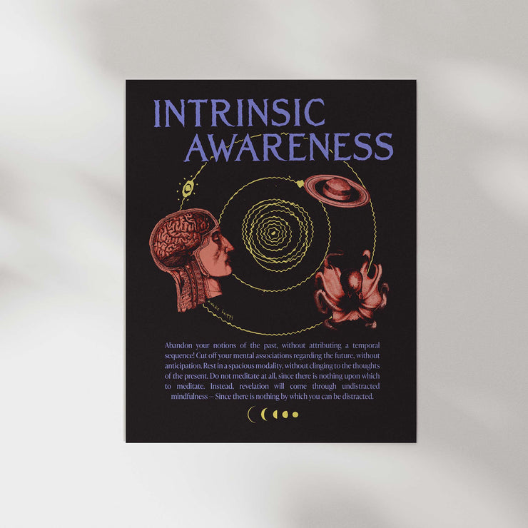 Intrinsic Awareness Print